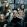 backyard babies