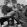 blue rodeo