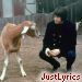 brian wilson