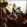 grace potter & the nocturnals