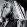 graham nash