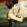 imogen heap
