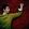 josh kelley