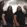 kataklysm