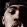 lloyd banks