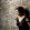paula cole