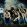 randy rogers band