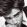 robert pattinson