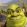 shrek