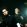 static-x