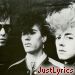 stray cats
