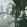 tindersticks